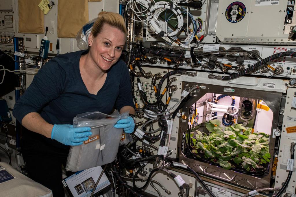 
			Astronauts Harvest Radish Crop on International Space Station - NASA			