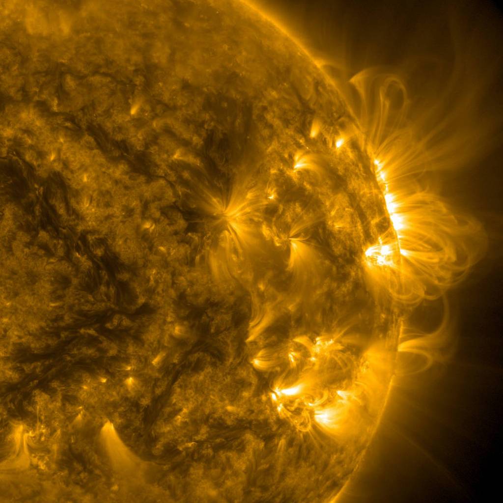 A whole series of loops towered above a group of active regions over a five-days period.